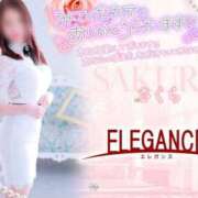 ヒメ日記 2025/04/24 08:58 投稿 さくら エレガンス(広島)