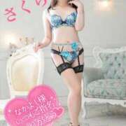 ヒメ日記 2025/04/25 07:28 投稿 さくら エレガンス(広島)