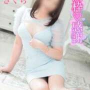 ヒメ日記 2025/04/28 07:08 投稿 さくら エレガンス(広島)