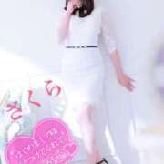 ヒメ日記 2025/04/29 08:04 投稿 さくら エレガンス(広島)