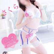 ヒメ日記 2025/04/29 08:08 投稿 さくら エレガンス(広島)