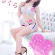 ヒメ日記 2025/05/12 07:51 投稿 さくら エレガンス(広島)