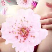 ヒメ日記 2025/05/20 16:08 投稿 さくら エレガンス(広島)