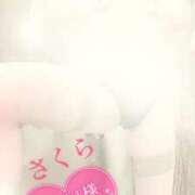 ヒメ日記 2025/06/01 23:28 投稿 さくら エレガンス(広島)