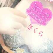 ヒメ日記 2025/06/04 07:14 投稿 さくら エレガンス(広島)