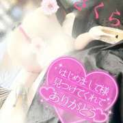 ヒメ日記 2025/06/13 08:08 投稿 さくら エレガンス(広島)