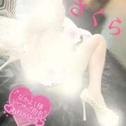 ヒメ日記 2025/06/13 08:28 投稿 さくら エレガンス(広島)