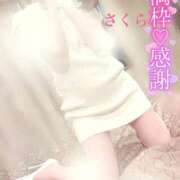 ヒメ日記 2025/06/14 09:00 投稿 さくら エレガンス(広島)