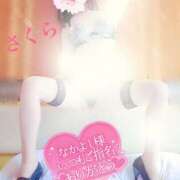 ヒメ日記 2025/06/17 16:17 投稿 さくら エレガンス(広島)