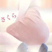 ヒメ日記 2025/06/17 16:21 投稿 さくら エレガンス(広島)