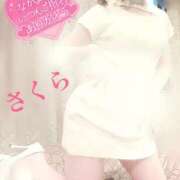 ヒメ日記 2025/06/18 07:58 投稿 さくら エレガンス(広島)