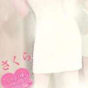 ヒメ日記 2025/06/18 08:30 投稿 さくら エレガンス(広島)