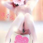 ヒメ日記 2025/06/19 12:58 投稿 さくら エレガンス(広島)