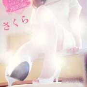 ヒメ日記 2025/06/25 07:58 投稿 さくら エレガンス(広島)