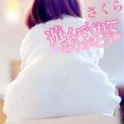 ヒメ日記 2025/06/25 08:01 投稿 さくら エレガンス(広島)