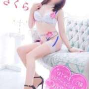 ヒメ日記 2025/06/27 08:18 投稿 さくら エレガンス(広島)