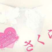 ヒメ日記 2025/07/11 08:18 投稿 さくら エレガンス(広島)