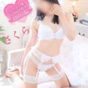 ヒメ日記 2025/07/13 06:38 投稿 さくら エレガンス(広島)