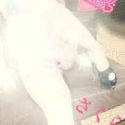 ヒメ日記 2025/07/29 15:56 投稿 さくら エレガンス(広島)