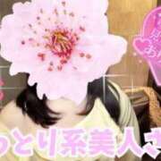 ヒメ日記 2025/08/09 11:28 投稿 さくら エレガンス(広島)