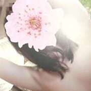 ヒメ日記 2025/08/18 11:35 投稿 さくら エレガンス(広島)