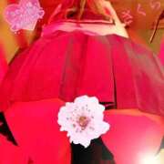 ヒメ日記 2025/08/25 08:27 投稿 さくら エレガンス(広島)