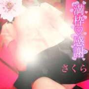 ヒメ日記 2025/08/25 08:50 投稿 さくら エレガンス(広島)