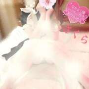 ヒメ日記 2025/08/26 07:58 投稿 さくら エレガンス(広島)