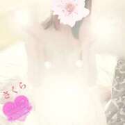 ヒメ日記 2025/08/28 19:21 投稿 さくら エレガンス(広島)