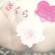 ヒメ日記 2025/08/29 08:46 投稿 さくら エレガンス(広島)