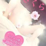 ヒメ日記 2025/09/01 19:38 投稿 さくら エレガンス(広島)