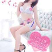 ヒメ日記 2025/09/04 08:48 投稿 さくら エレガンス(広島)