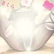 ヒメ日記 2025/09/04 14:38 投稿 さくら エレガンス(広島)