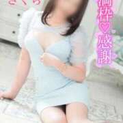 ヒメ日記 2025/09/17 09:18 投稿 さくら エレガンス(広島)