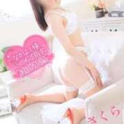 ヒメ日記 2025/09/19 08:49 投稿 さくら エレガンス(広島)