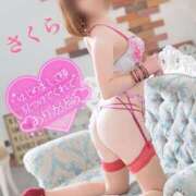 ヒメ日記 2025/09/25 07:08 投稿 さくら エレガンス(広島)