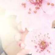 ヒメ日記 2025/09/29 05:28 投稿 さくら エレガンス(広島)