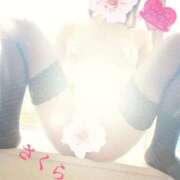 ヒメ日記 2025/09/29 06:08 投稿 さくら エレガンス(広島)