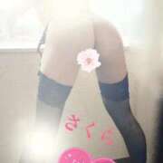 ヒメ日記 2025/10/03 01:28 投稿 さくら エレガンス(広島)