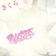 ヒメ日記 2025/10/05 23:18 投稿 さくら エレガンス(広島)