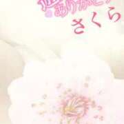 ヒメ日記 2025/10/06 01:10 投稿 さくら エレガンス(広島)