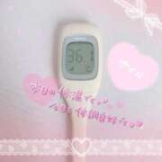 ヒメ日記 2025/10/09 07:49 投稿 さくら エレガンス(広島)