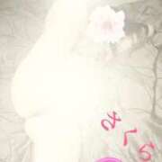 ヒメ日記 2025/10/18 06:18 投稿 さくら エレガンス(広島)