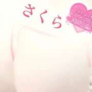 ヒメ日記 2025/10/20 07:52 投稿 さくら エレガンス(広島)