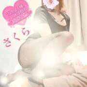 ヒメ日記 2025/10/29 13:58 投稿 さくら エレガンス(広島)