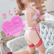 ヒメ日記 2025/11/19 11:58 投稿 さくら エレガンス(広島)