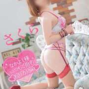 ヒメ日記 2025/11/22 15:08 投稿 さくら エレガンス(広島)