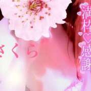 ヒメ日記 2025/12/26 00:31 投稿 さくら エレガンス(広島)