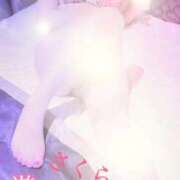 ヒメ日記 2025/12/28 00:41 投稿 さくら エレガンス(広島)