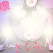 ヒメ日記 2026/01/11 13:58 投稿 さくら エレガンス(広島)